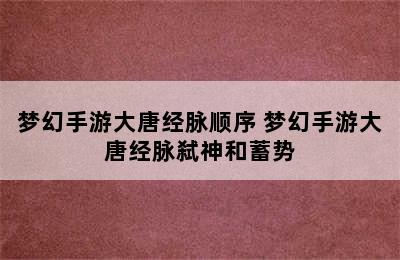 梦幻手游大唐经脉顺序 梦幻手游大唐经脉弑神和蓄势